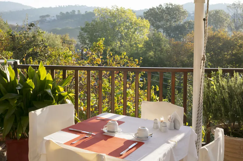 Breakfast table on the terrace among the trees