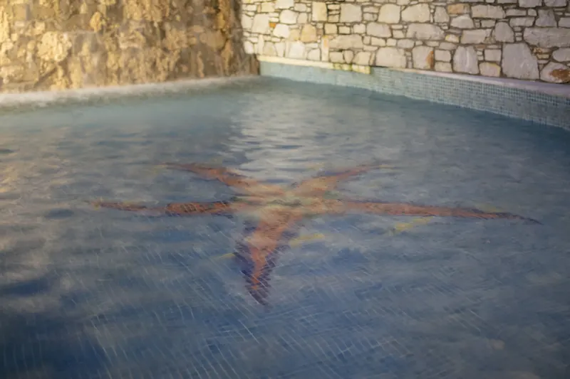 Piscina & esterni al Magic Hotel – foto 23